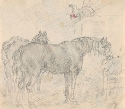 Horses in a barn with chickens and a rooster…