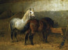 Horses in stable