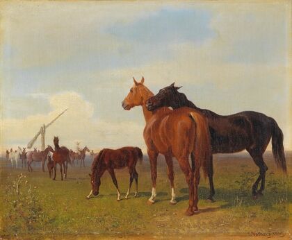 Horses on the Puszta
