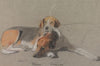Hounds; Fleur and Frogmore (1878)