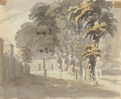 House with trees
