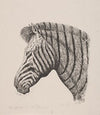 Hoved af en Zebra