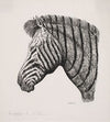 Hoved af en Zebra