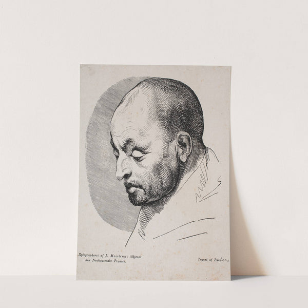 Hovedet af en skaldet mand by Peter Ludvig Meisling