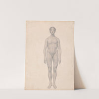 Human Figure, Anterior View, Undissected (1795 to 1806) by George Stubbs