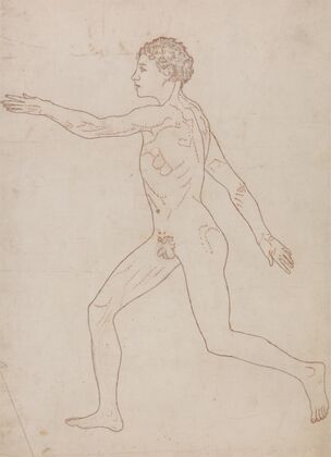 Human Figure, Lateral View
