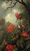 Hummingbird and Passionflowers