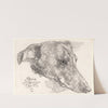 Hundehoved, Snip by Johan Thomas Lundbye