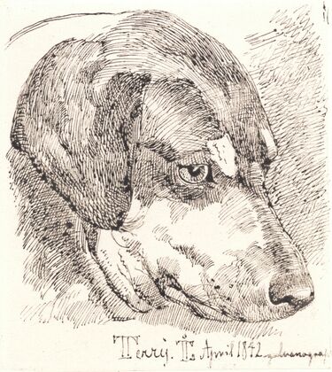 Hundehoved, Terry