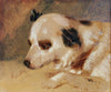 Hundekopf