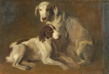 Dogs