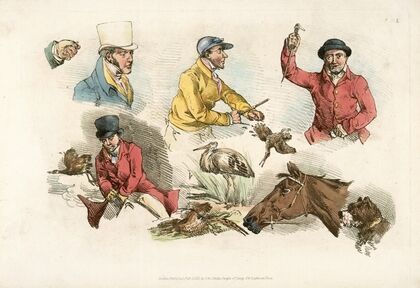 Hunters, animals, birds