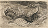 Hunting scene (Hare and dog)