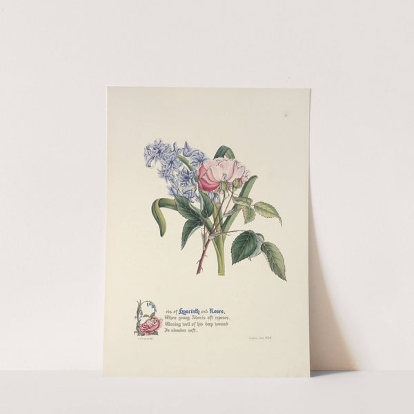 Hyacinth and rose by Jane Elizabeth Giraud