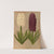 Hyacinths1.S.W. Snowball 2.S.M. Haydn (1872-1881) by Arentina Hendrica Arendsen