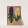 Hyacinths 6 (1872-1881) by Arentina Hendrica Arendsen