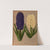 Hyacinths 6 (1872-1881) by Arentina Hendrica Arendsen