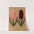 Hyacinths 8 (1872-1881) by Arentina Hendrica Arendsen