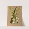 Hyacinthus Candicans (1872-1881) by Arentina Hendrica Arendsen