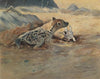Hyäne auf der Lauer (1905)