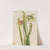 Hybrid Pitcherplant (Sarracenia minor) (1930) by Mary Vaux Walcott