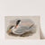 Hydroprogne caspia. Caspian Tern. (1862-1873) by John Gould