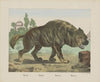 Hyena (1829-1880)