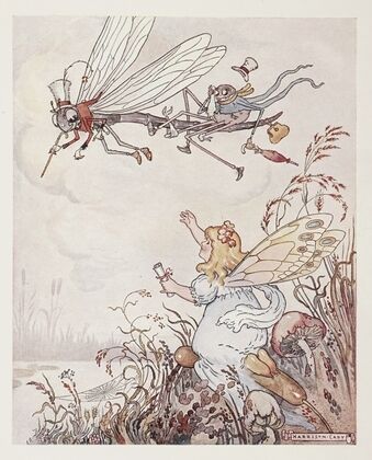I am the great Dragon Fly