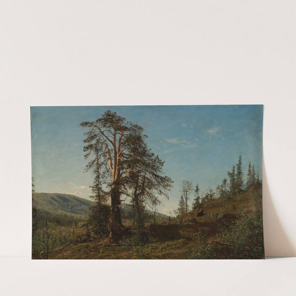 I Vingeråsheia, Telemark by Amaldus Nielsen