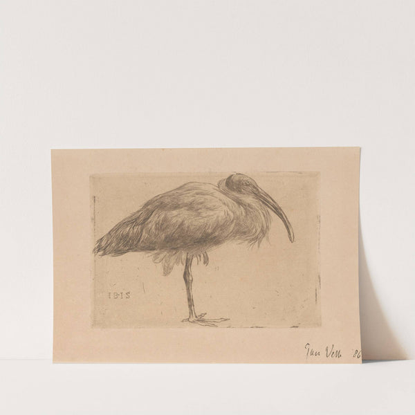 Ibis by Jan Veth