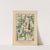Icones of the bamboos of Japan – Nihon chikurui zufu Pl.01 (1912) by Yasuyoshi Shirasawa