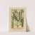 Icones of the bamboos of Japan – Nihon chikurui zufu Pl.07 (1912) by Yasuyoshi Shirasawa