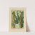Icones of the bamboos of Japan – Nihon chikurui zufu Pl.12 (1912) by Yasuyoshi Shirasawa