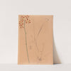 Iconographie des orchidées du Brésil Pl.12 by João Barbosa Rodrigues