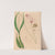 Iconographie des orchidées du Brésil Pl.13 by João Barbosa Rodrigues
