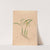Iconographie des orchidées du Brésil Pl.16 by João Barbosa Rodrigues