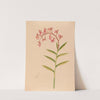 Iconographie des orchidées du Brésil Pl.18 by João Barbosa Rodrigues