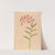 Iconographie des orchidées du Brésil Pl.18 by João Barbosa Rodrigues