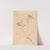 Iconographie des orchidées du Brésil Pl.28 by João Barbosa Rodrigues