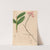 Iconographie des orchidées du Brésil Pl.29 by João Barbosa Rodrigues