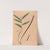 Iconographie des orchidées du Brésil Pl.36 by João Barbosa Rodrigues