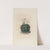 Iconographie descriptive des cactées Pl.06 by Charles Antoine Lemaire