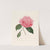 Iconographie du genre Camellia Pl.010 by Lorenzo Berlèse