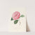 Iconographie du genre Camellia Pl.014 by Lorenzo Berlèse