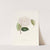 Iconographie du genre Camellia Pl.017 by Lorenzo Berlèse