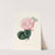 Iconographie du genre Camellia Pl.020 by Lorenzo Berlèse