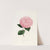 Iconographie du genre Camellia Pl.026 by Lorenzo Berlèse