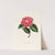 Iconographie du genre Camellia Pl.032 by Lorenzo Berlèse