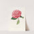 Iconographie du genre Camellia Pl.039 by Lorenzo Berlèse