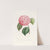 Iconographie du genre Camellia Pl.042 by Lorenzo Berlèse